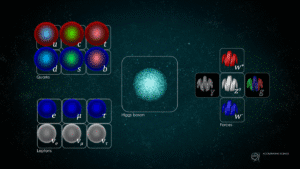 Standard model: is the god particle really important