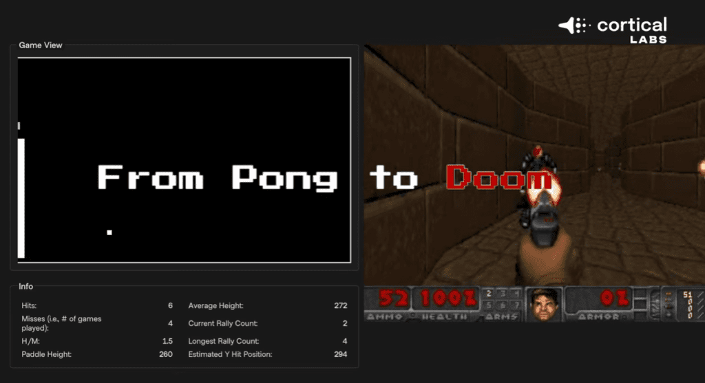 doom and ping pong