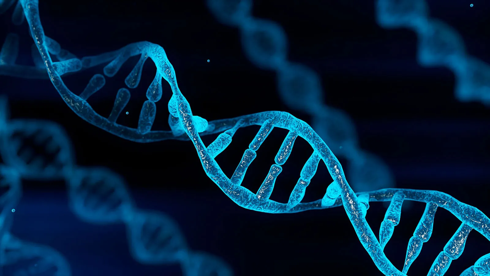 DNA Pervoskite hybrid memory chip